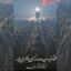 Profile picture of ‌کمیل+۳۱۲ نفر (ان شاءالله)‌