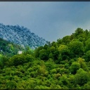Profile picture of ‌عبدالرضا‌