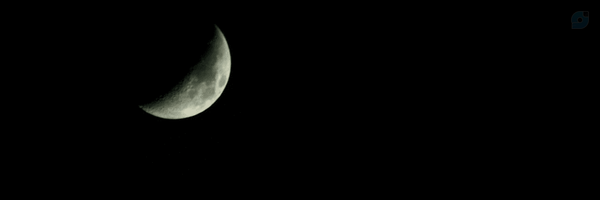 ‌Siamak Aflatonian‌'s header picture