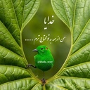 Profile picture of ‌عیسی ریسی‌