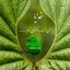 Profile picture of ‌عیسی ریسی‌