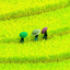 Profile picture of ‌Hanames‌