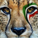 Profile picture of ‌تیم ما ایران‌
