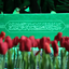Profile picture of ‌سجاد فولادیان‌