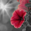 Profile picture of ‌علی مهدوی‌