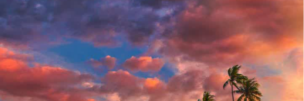 ‌دَم صبح‌'s header picture