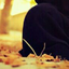 Profile picture of ‌پونه پایدار‌