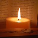 Profile picture of ‌محمد مهدی الوندی 🇵🇸🇮🇷‌