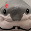 Profile picture of ‌🎒Niki‌