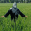 Profile picture of ‌فاطمه حکیمی‌