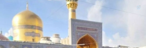 ‌مائده عسگری‌'s header picture