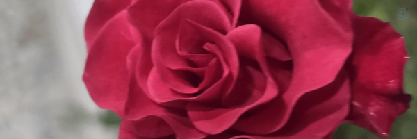 ‌مهدی زاده .‌'s header picture