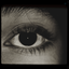 Profile picture of ‌~{soli}~‌