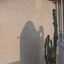 Profile picture of ‌ʼهبوط‌یافته‌