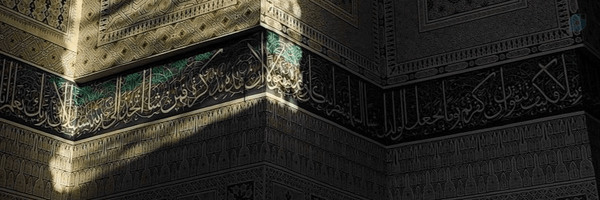 ‌Zeddy !‌'s header picture