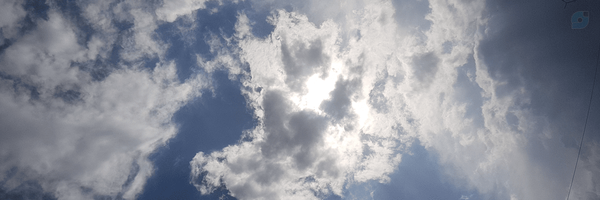 ‌رها تنها‌'s header picture