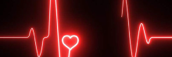 ‌user1748160327464619547‌'s header picture
