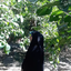Profile picture of ‌اعظم رامشینی‌