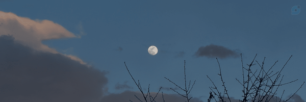 ‌سبا‌'s header picture