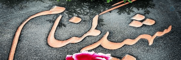 ‌طوفان سرباز‌'s header picture