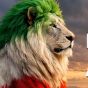 Profile picture of ‌مجتبی غلامرضائی‌