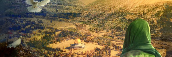 ‌نوران‌'s header picture
