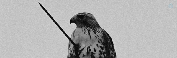 ‌ره‌گذر‌'s header picture