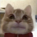 Profile picture of ‌هادی‌