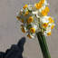 Profile picture of ‌خانمِ نون🌸‌