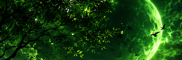 ‌دیــآر:|☘️‌'s header picture