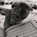 Profile picture of ‌بزرگمهر‌