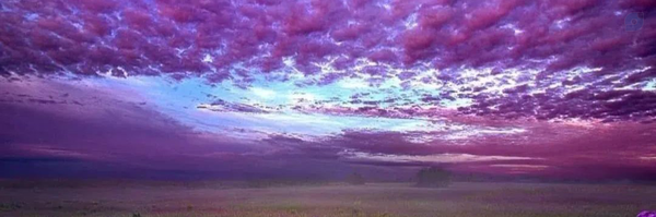 ‌Mojgan A‌'s header picture