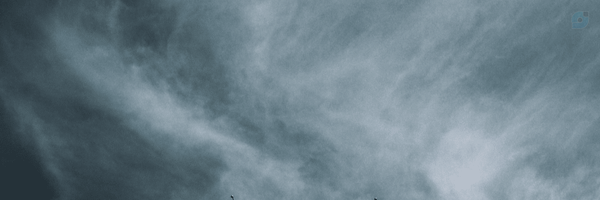 ‌Ali Mostajeran‌'s header picture