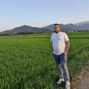 Profile picture of ‌مهدی احمد‌