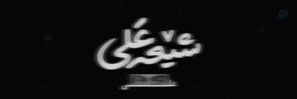 ‌𝒁𝒆𝒊𝒏𝒂𝒃‌'s header picture