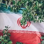 Profile picture of ‌گلشن‌