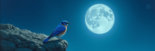 ‌صادق وفادار‌'s header picture