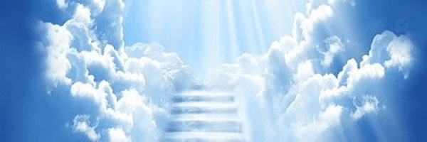 ‌محمد‌'s header picture