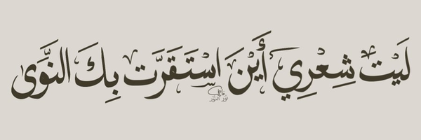 ‌میرزا صادقی‌'s header picture
