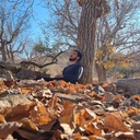 Profile picture of ‌سید‌