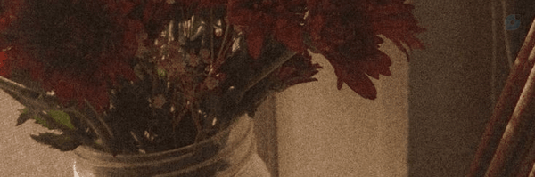 ‌Romina‌'s header picture