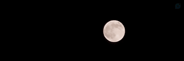 ‌Zahra behnam‌'s header picture