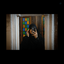 Profile picture of ‌•ســٰـادات•‌