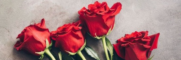 ‌شفیعی‌'s header picture