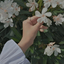 Profile picture of ‌Mohadese ....‌