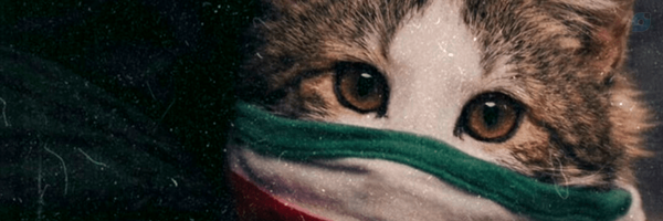 ‌آباد ایران‌'s header picture