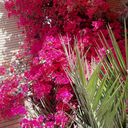Profile picture of ‌maryam mohsenian‌