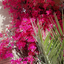 Profile picture of ‌maryam mohsenian‌