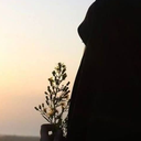 Profile picture of ‌آوا‌