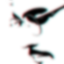 Profile picture of ‌- صادق‌